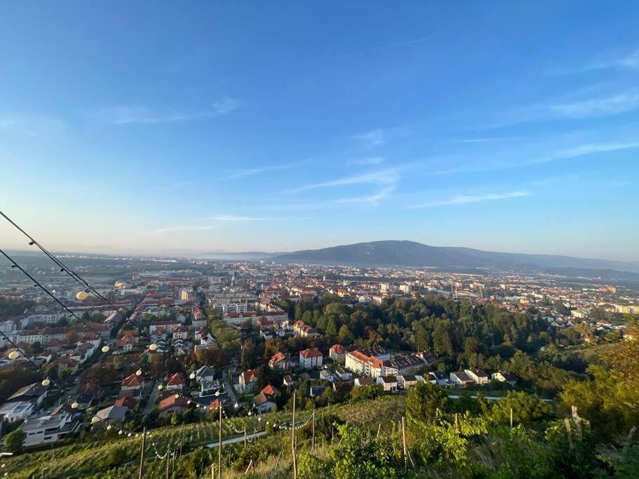 Studio With A View On City Center Park Марибор Екстериор снимка
